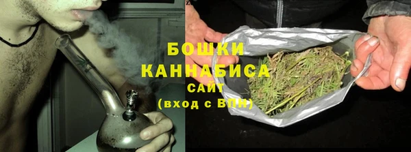 шишки Бердск