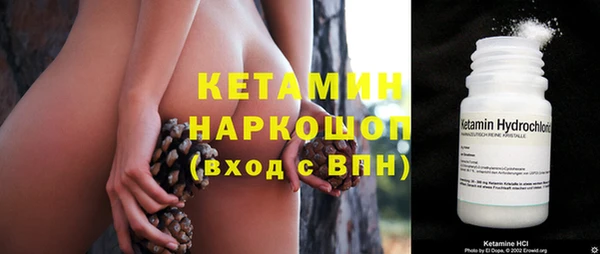 прущие грибы Ачинск
